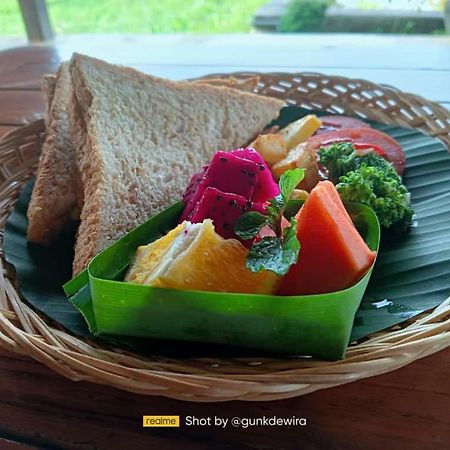 タマン ビンタン ヴィラ ウブド エクステリア 写真
